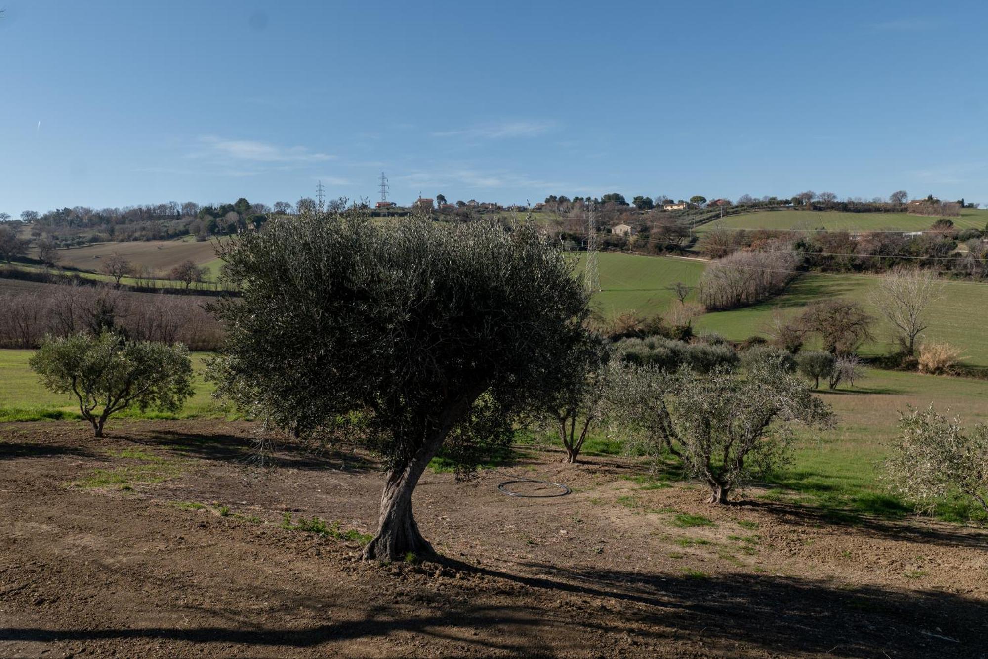 Casa Addis B&B Scapezzano Luaran gambar
